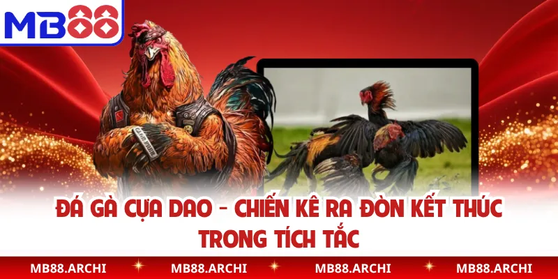 Đá Gà Cựa Dao MB88 - Chiến Kê Ra Đòn Kết Thúc Trong Tích Tắc
