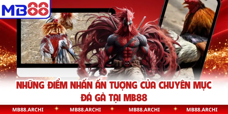 Những điểm nhấn ấn tượng của chuyên mực đá gà tại MB88